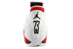 Air Jordan 14 Retro Rip Hamilton